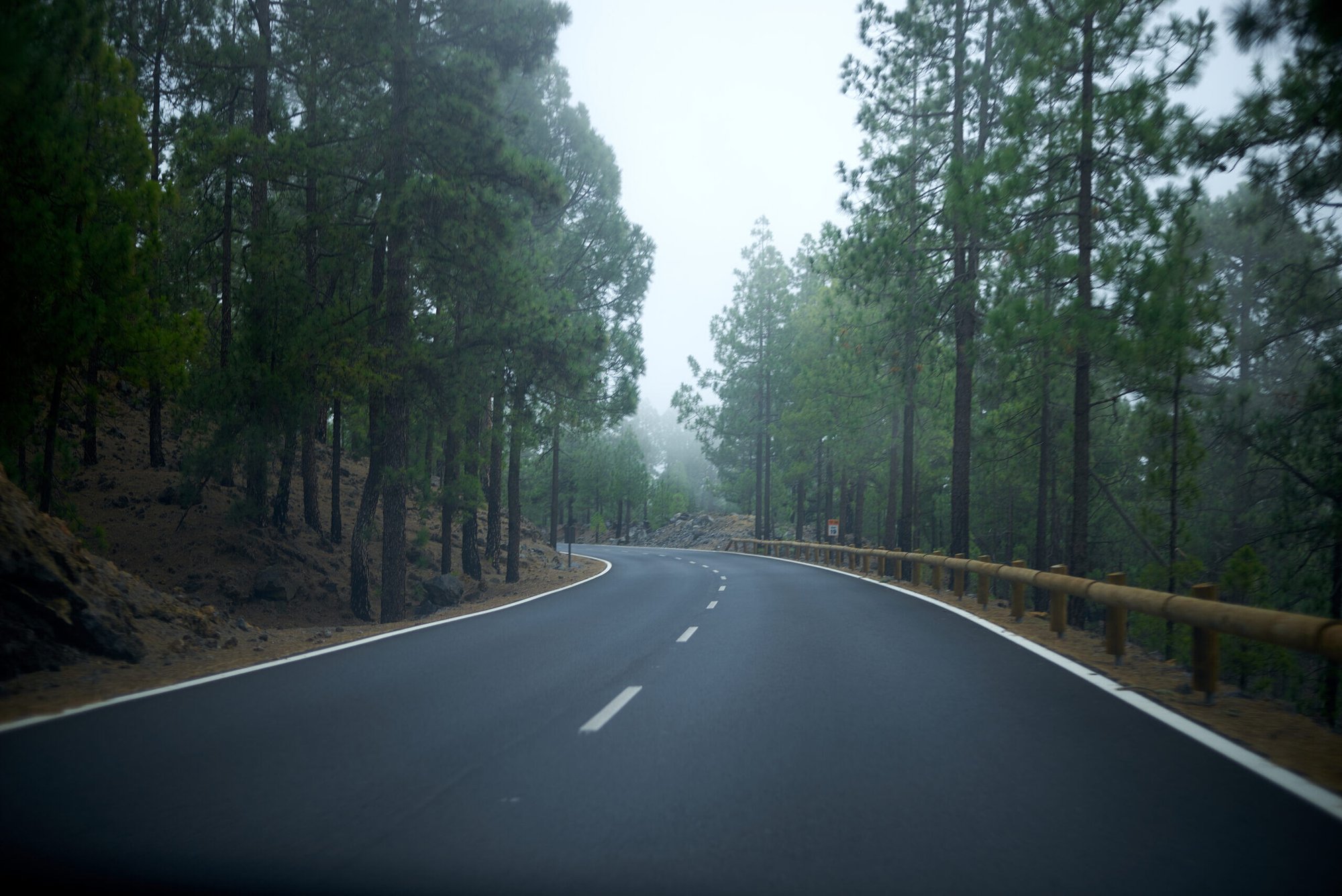 photodune-JavpN3Jb-empty-road-on-the-middle-of-the-forest-xxl-scaled