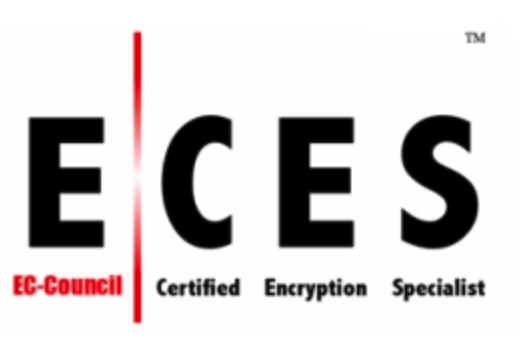 ECES Certified Engineer