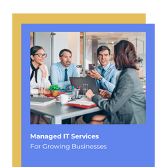 Download Synivate Managed Provider eBook